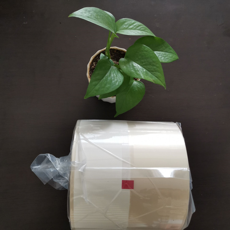 生產玻璃紙藥品包裝膜的操作說明