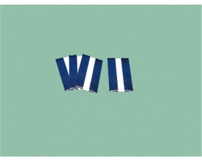 特衛(wèi)強背封條袋